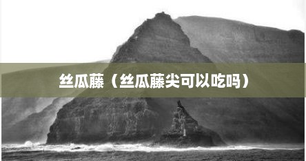 丝瓜藤（丝瓜藤尖可以吃吗）