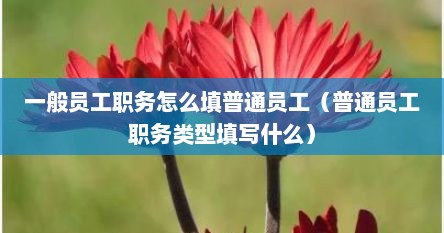一般员工职务怎么填普通员工（普通员工职务类型填写什么）