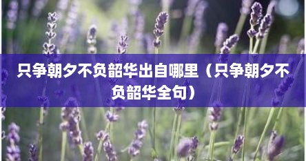 只争朝夕不负韶华出自哪里（只争朝夕不负韶华全句）