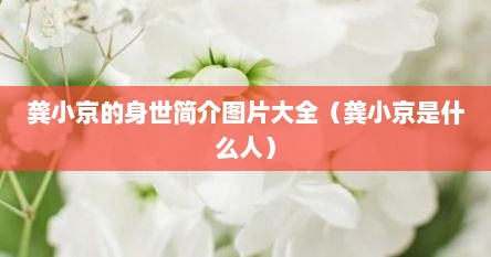 龚小京的身世简介图片大全（龚小京是什么人）