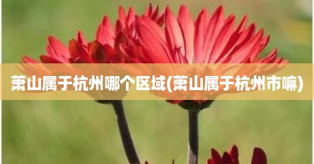 萧山属于杭州哪个区域(萧山属于杭州市嘛)