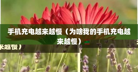 手机充电越来越慢（为啥我的手机充电越来越慢）