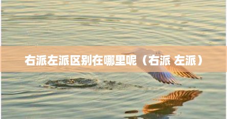 右派左派区别在哪里呢（右派 左派）