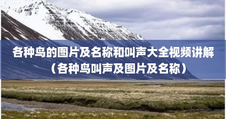 各种鸟的图片及名称和叫声大全视频讲解（各种鸟叫声及图片及名称）
