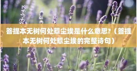 菩提本无树何处惹尘埃是什么意思?（菩提本无树何处惹尘埃的完整诗句）