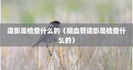 造影是检查什么的（脑血管造影是检查什么的）