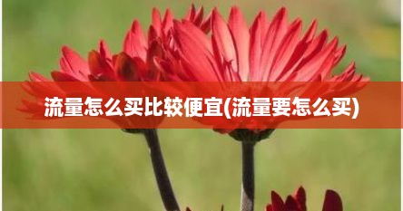 流量怎么买比较便宜(流量要怎么买)