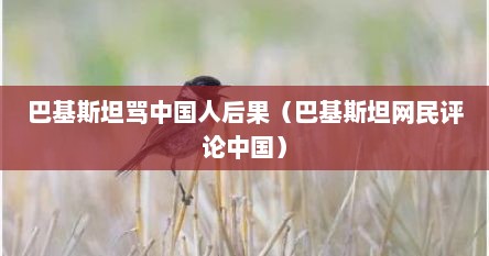 巴基斯坦骂中国人后果（巴基斯坦网民评论中国）