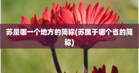 苏是哪一个地方的简称(苏属于哪个省的简称)