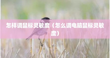 怎样调鼠标灵敏度（怎么调电脑鼠标灵敏度）