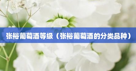 张裕葡萄酒等级（张裕葡萄酒的分类品种）