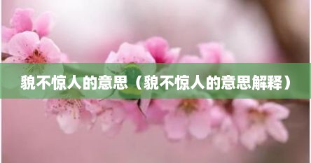貌不惊人的意思（貌不惊人的意思解释）