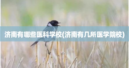 济南有哪些医科学校(济南有几所医学院校)