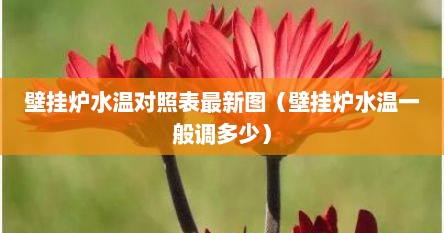 壁挂炉水温对照表最新图（壁挂炉水温一般调多少）