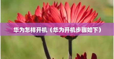 华为怎样开机（华为开机步骤如下）