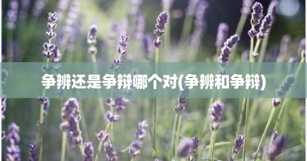争辨还是争辩哪个对(争辨和争辩)