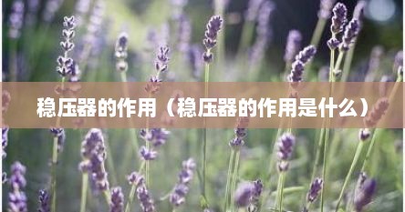 稳压器的作用（稳压器的作用是什么）