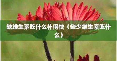 缺维生素吃什么补得快（缺少维生素吃什么）