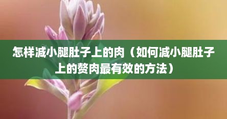 怎样减小腿肚子上的肉（如何减小腿肚子上的赘肉最有效的方法）