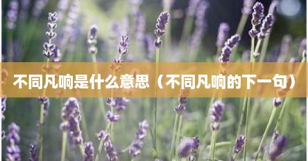 不同凡响意思和造句（不同凡响什么意思网络用语）