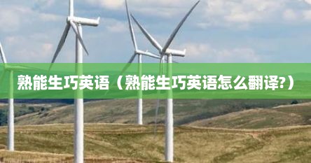 熟能生巧英语（熟能生巧英语怎么翻译?）