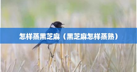 怎样蒸黑芝麻（黑芝麻怎样蒸熟）