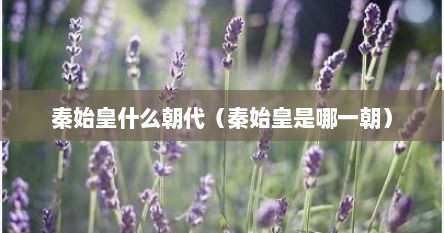 秦始皇什么朝代（秦始皇是哪一朝）