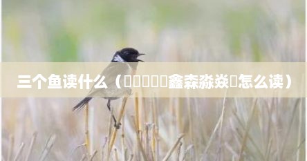 三个鱼读什么（骉犇羴猋鱻鑫森淼焱垚怎么读）