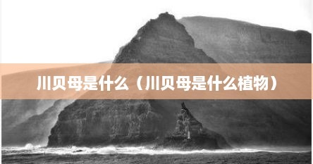 川贝母是什么（川贝母是什么植物）