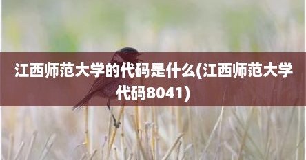 江西师范大学的代码是什么(江西师范大学代码8041)