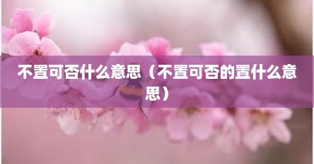 不置可否什么意思（不置可否的置什么意思）