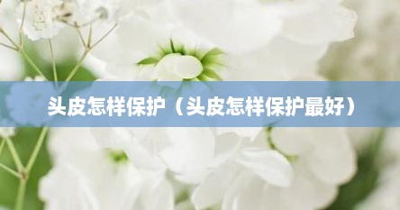头皮怎样保护（头皮怎样保护最好）