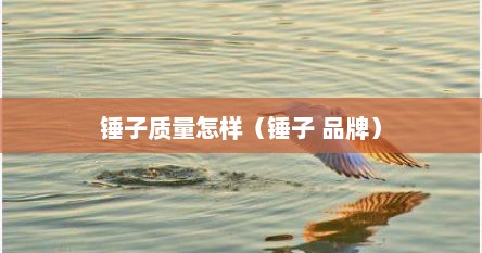 锤子质量怎样（锤子 品牌）