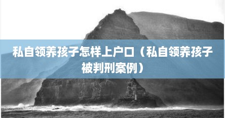 私自领养孩子怎样上户口（私自领养孩子被判刑案例）