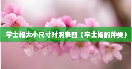 学士帽大小尺寸对照表图（学士帽的种类）