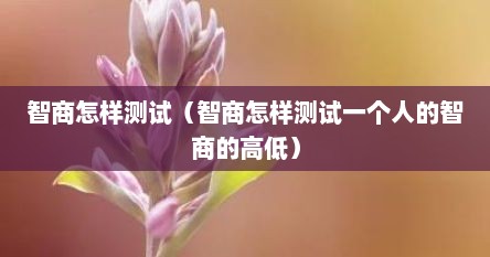 智商怎样测试（智商怎样测试一个人的智商的高低）