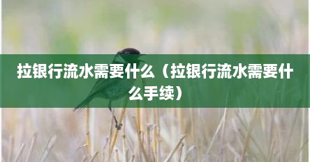 拉银行流水需要什么（拉银行流水需要什么手续）