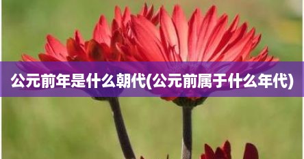 公元前年是什么朝代(公元前属于什么年代)