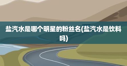 盐汽水是哪个明星的粉丝名(盐汽水是饮料吗)