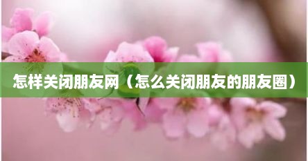 怎样关闭朋友网（怎么关闭朋友的朋友圈）