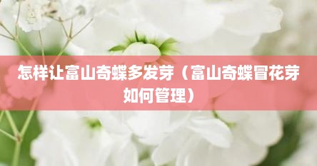 怎样让富山奇蝶多发芽（富山奇蝶冒花芽如何管理）