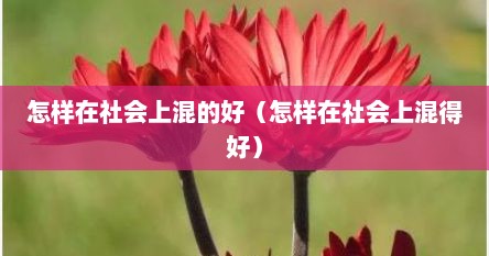 怎样在社会上混的好（怎样在社会上混得好）