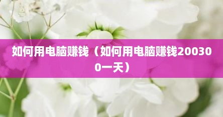 如何用电脑来赚钱（怎么可以用电脑赚钱）
