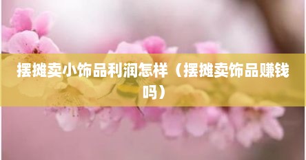 摆摊卖小饰品利润怎样（摆摊卖饰品赚钱吗）