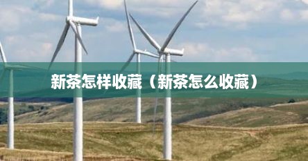 新茶怎样收藏（新茶怎么收藏）