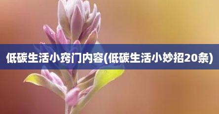 低碳生活小窍门内容(低碳生活小妙招20条)