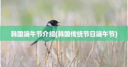 韩国端午节介绍(韩国传统节日端午节)