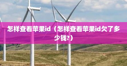 怎样查看苹果id（怎样查看苹果id欠了多少钱?）