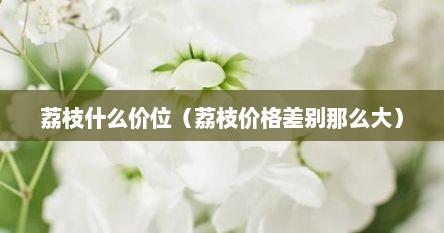 荔枝什么价位（荔枝价格差别那么大）