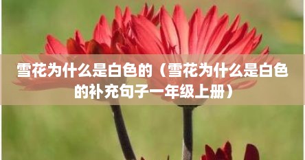 雪花为什么是白色的（雪花为什么是白色的补充句子一年级上册）